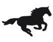 horse